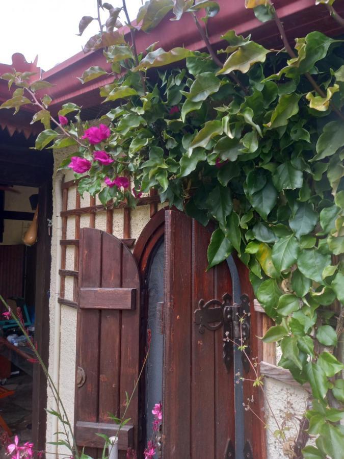 Sunday 2Br Welcome Stay Private Holiday House In Chalkidiki - Close To Karydi Beach فوروفورو المظهر الخارجي الصورة